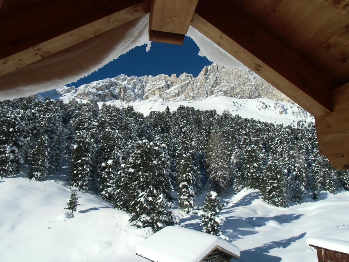 Rifugio Stella Alpina Spiz Piaz Per Escursionisti 호텔 포자 디 파사 외부 사진